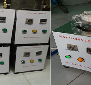 Máy ủ chín trái cây